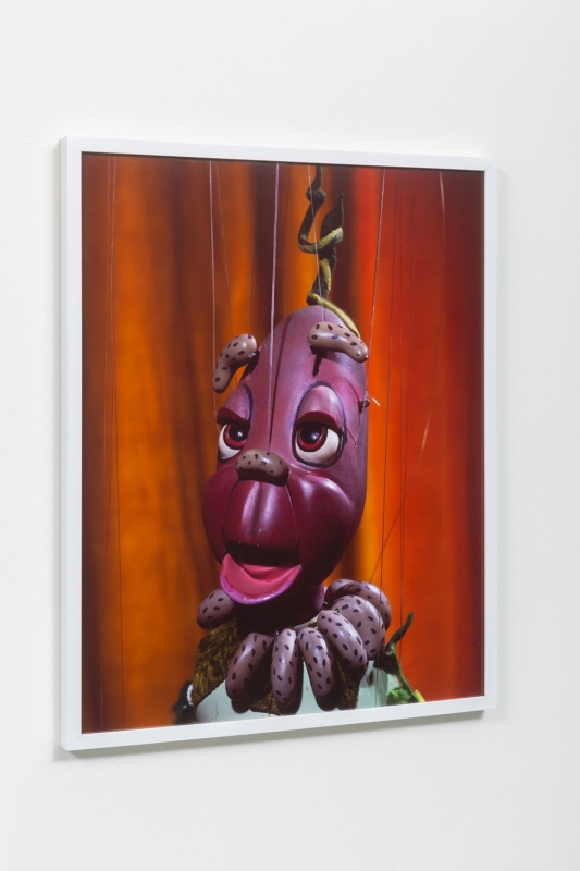 Framed, wall-mounted photograph of a vegetable-themed marionette puppet