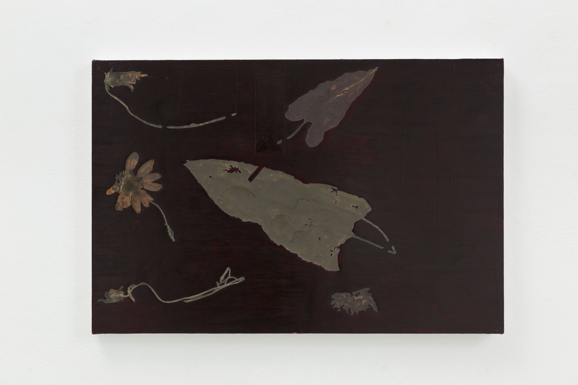 A twenty by thirty inch painting with a deep brown background with dried leaves and flowers in muted tones referencing the exact plant specimens from Lewis and Clark’s herbarium vouchers