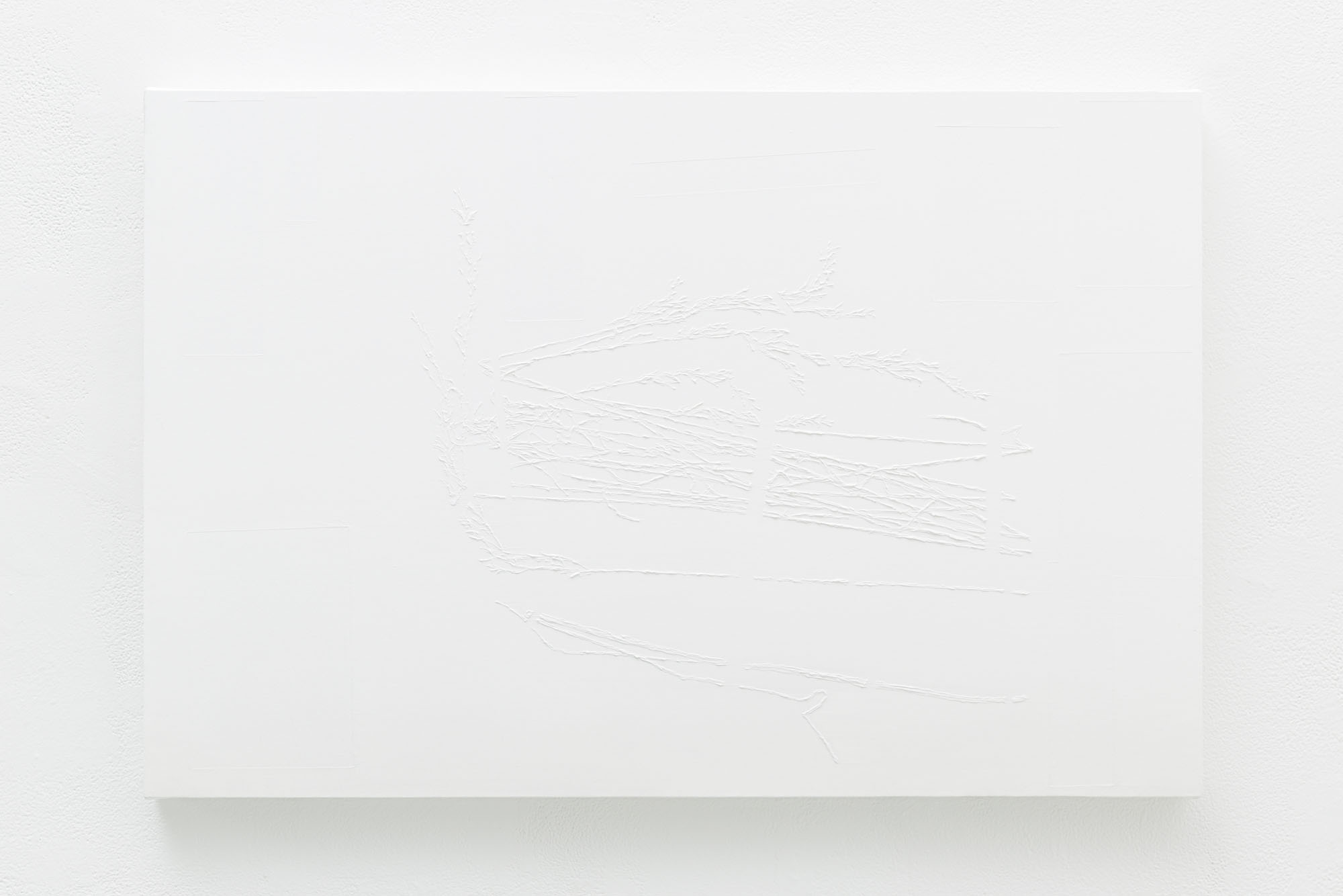 A white painting with surface textures alluding to twigs or long thin plants 