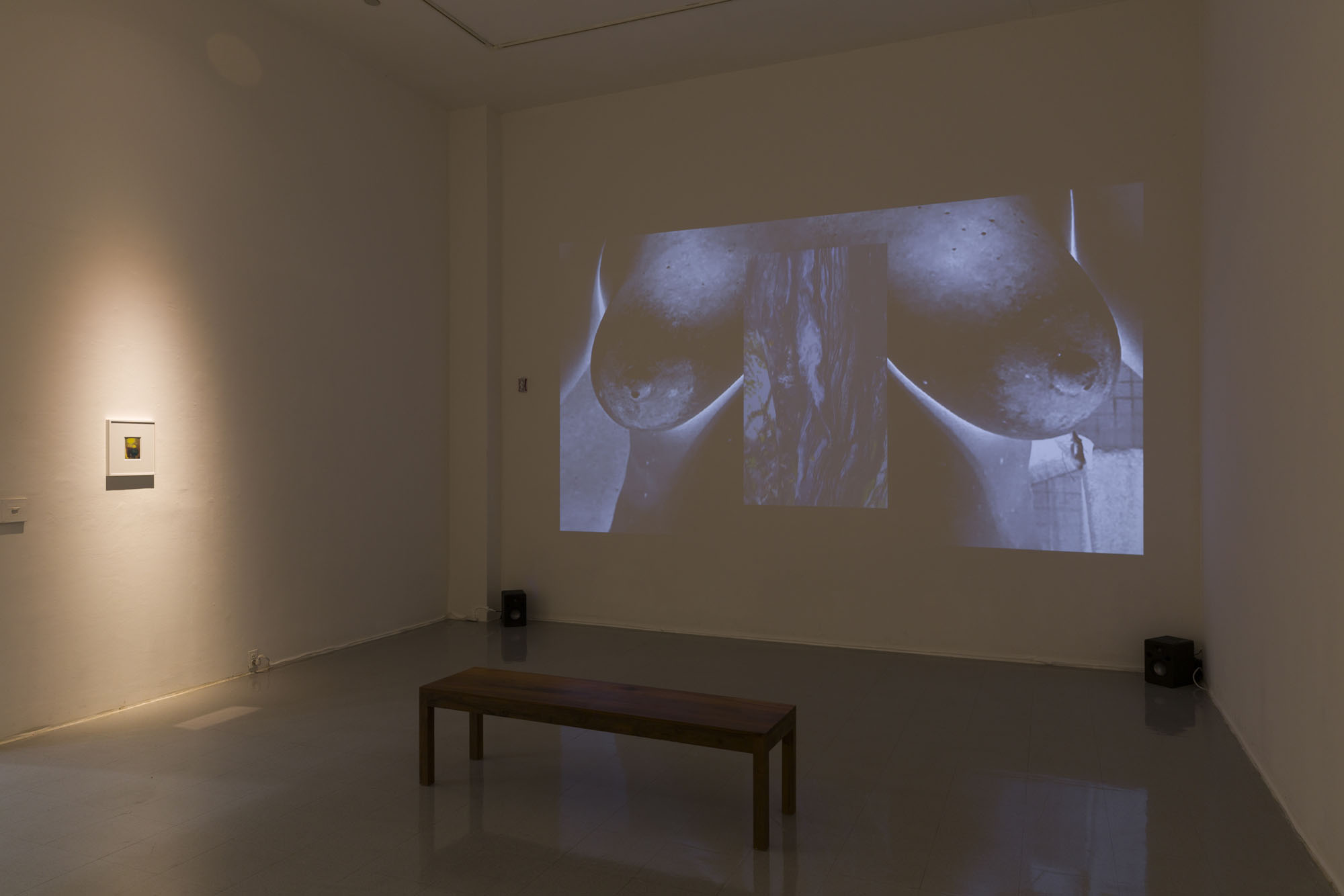 A projected video on the wall depicts a close up of the artist’s chest dripping breastmilk in negative values with an overlaid video of a river flowing. On the left is a small framed polaroid photograph. In the room is a wooden bench.